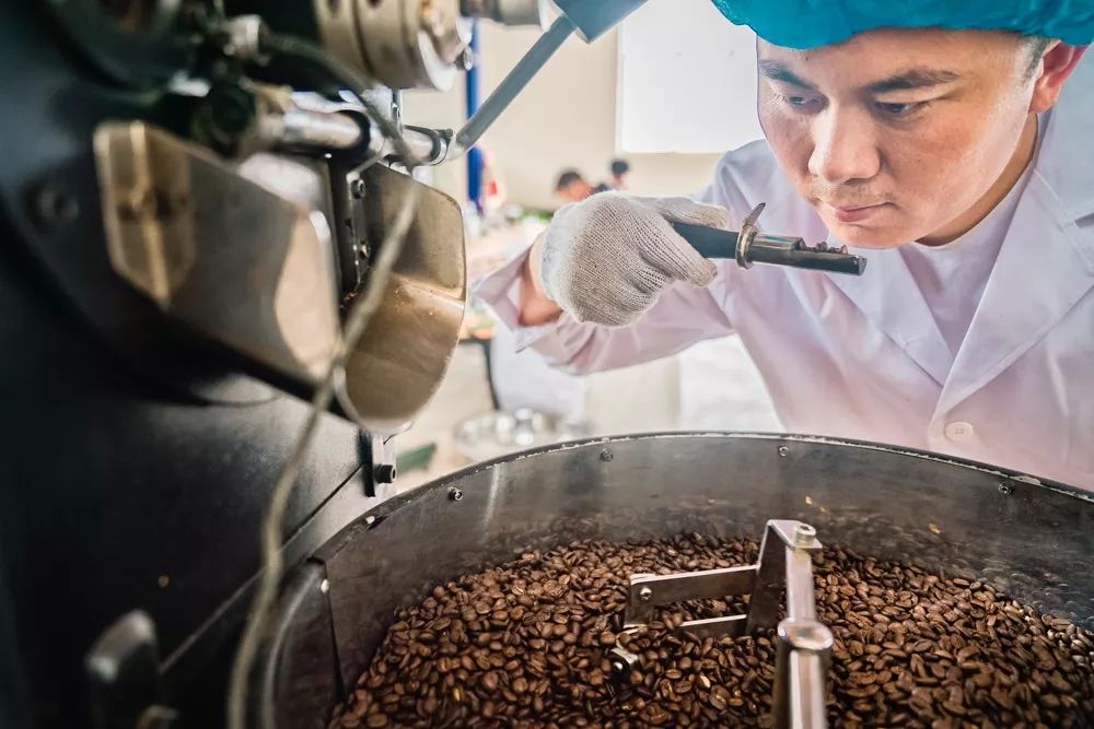 不是星巴克也不是瑞幸，为何只有拼多多才能拯救中国咖啡种植业？