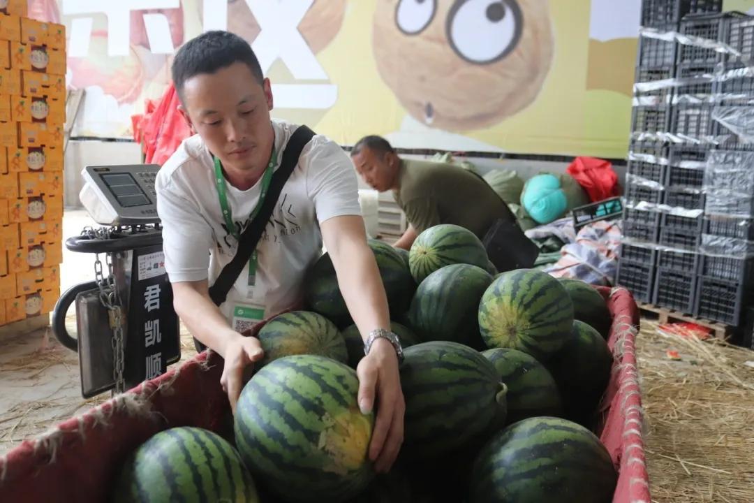 西瓜价格上涨原因,现在西瓜批发价格哪里最便宜