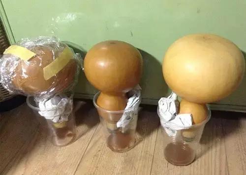 酒葫芦环保防渗利器---大漆