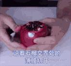 突尼斯软籽石榴优缺点,突尼斯软籽石榴和黑籽石榴哪个好