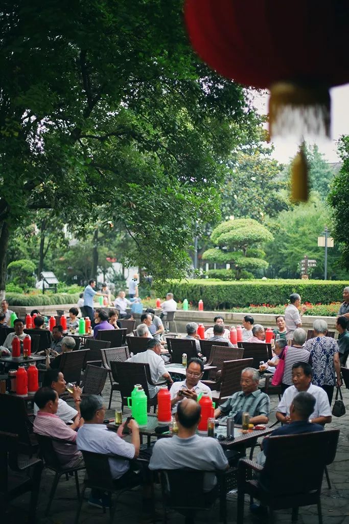 离上海仅1小时,这3座小众安静的江南名园,可惜大多数都没听过!