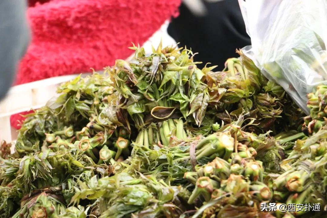 在西安，你一定要逛一次万寿路的早市