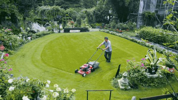 一个安徽爷爷，花1万块种出5000㎡私家花园，被评为中国最美