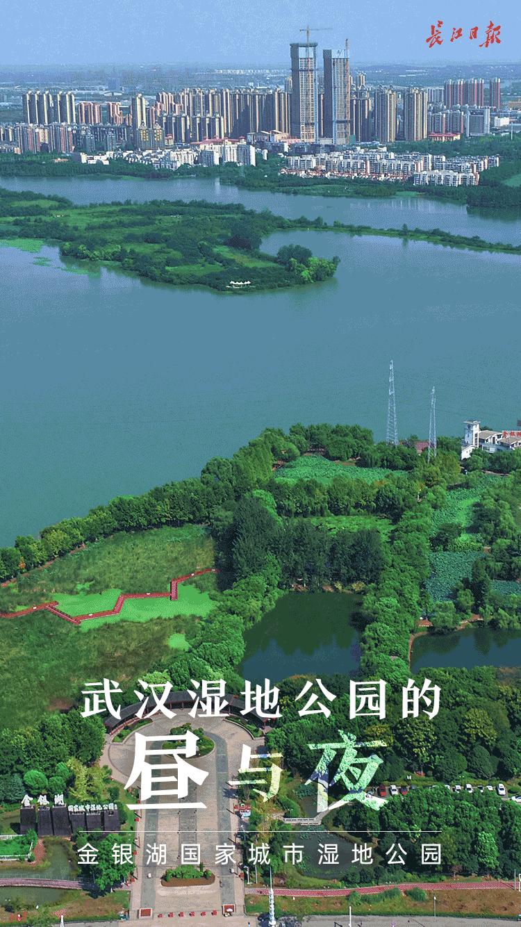 武汉江夏藏龙岛湿地公园美景图,武汉藏龙湿地公园