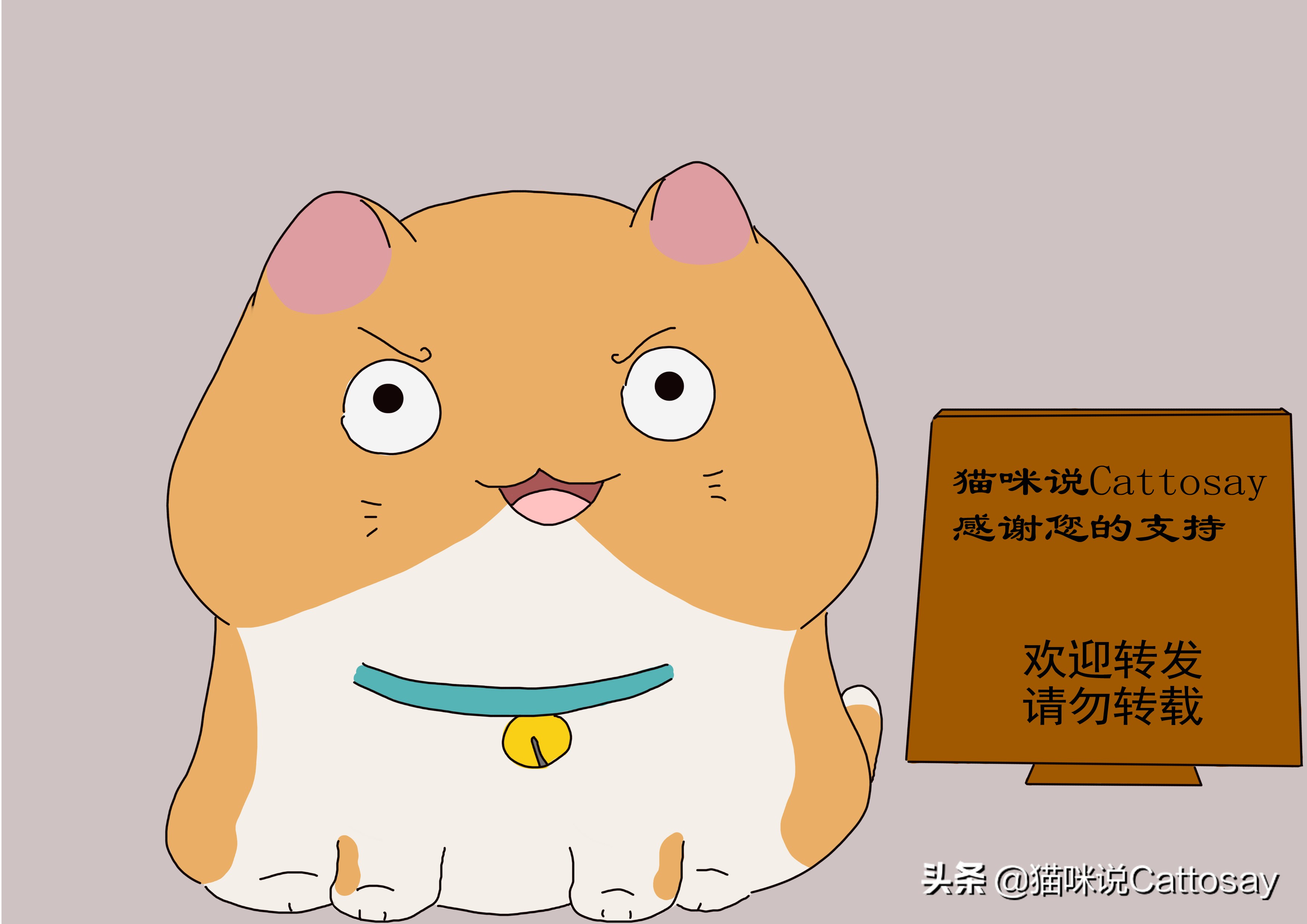 怎么给猫猫清理猫毛,粘在衣服上的猫毛如何快速清理