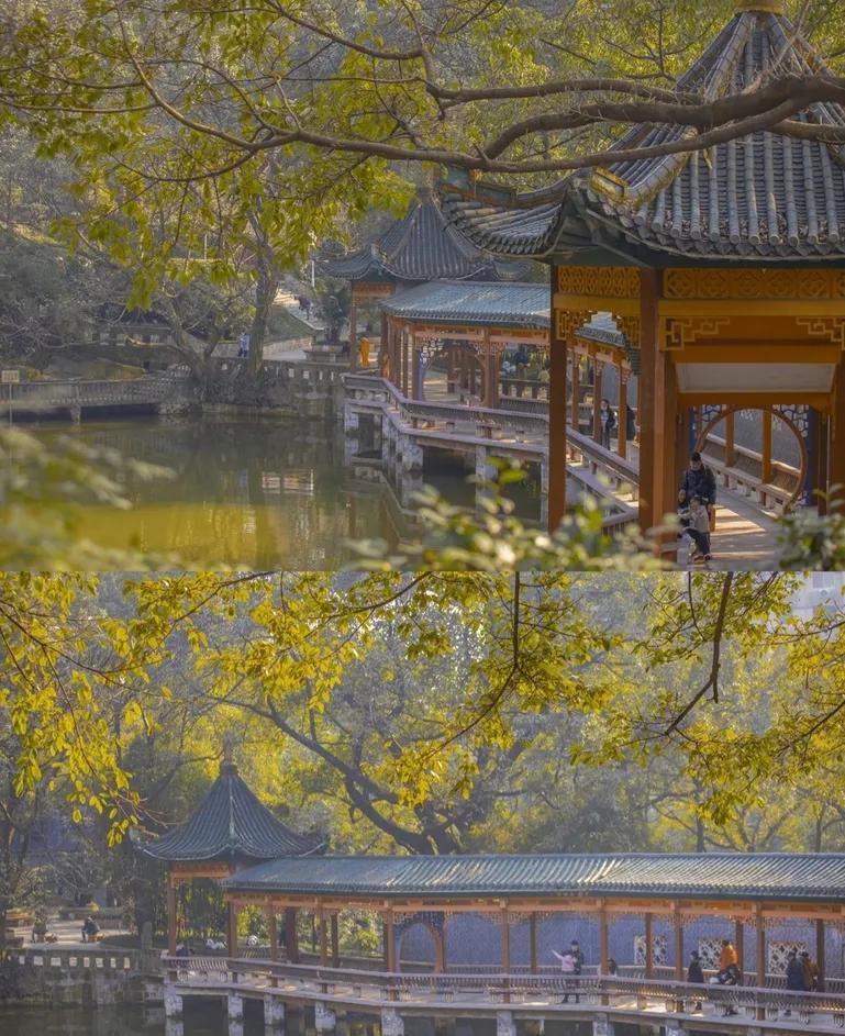 重庆55个景点免费游玩有哪些,重庆五一自驾游1天最佳路线