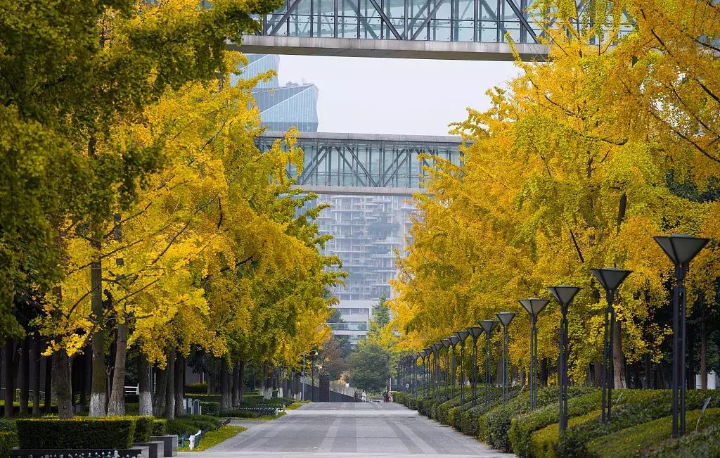 成都的干净程度,成都的街道名为什么好听