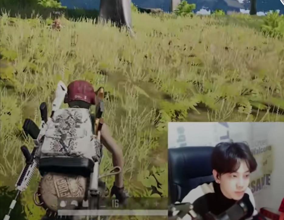 陈念航打游戏视频,陈念航直播重播