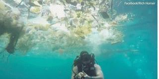 巴厘岛最垃圾的海滩,巴厘岛度假胜地