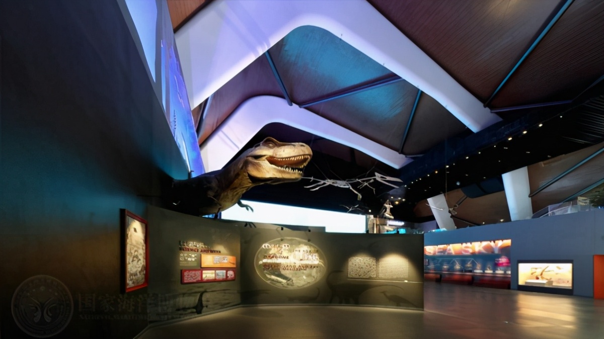 国家海洋博物馆游玩需要多久,天津生态城国家海洋博物馆