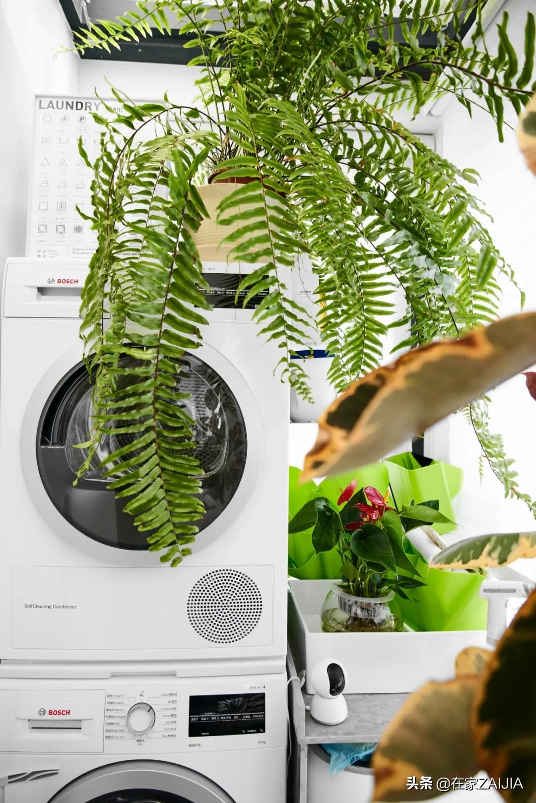 绿植达人爆改70㎡顶层公寓，没有院子却满屋都是花园