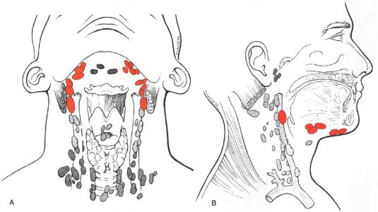 “*福性**”和“深渊”只有一墙之隔