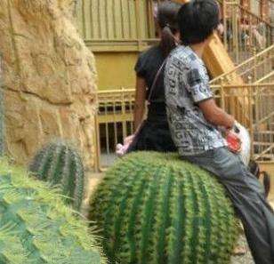 大腿粗小腿壮该如何瘦腿,腿部肥胖怎么改善