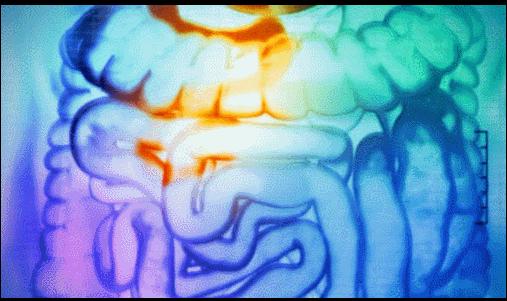 bbc发现新大陆纪录片,bbc纪录片宇宙的奇迹内容