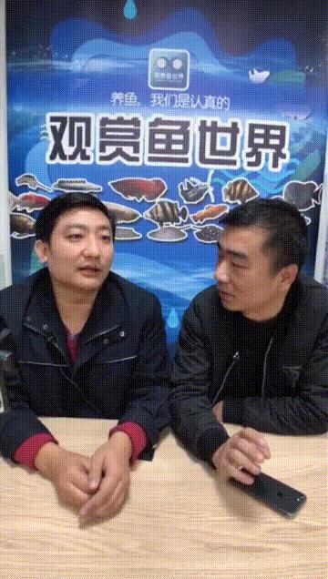 一句话说明观赏鱼的万病之源-鱼病主题直播问答笔记
