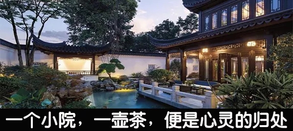 喝杯英山云雾茶静静,等等还未追上的灵魂