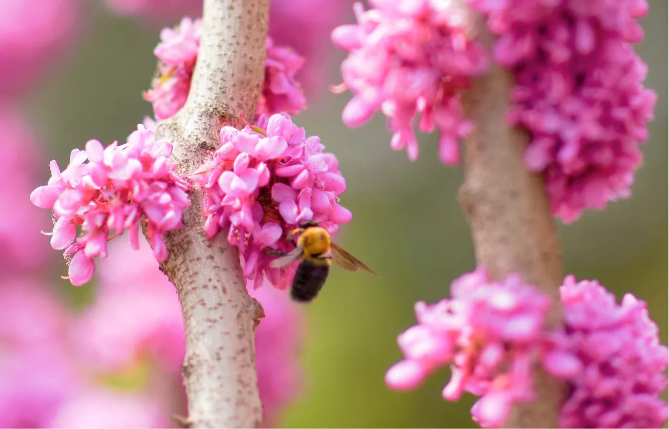 尼康d810还值得入手吗,尼康d810和佳能5d4哪个值得入手