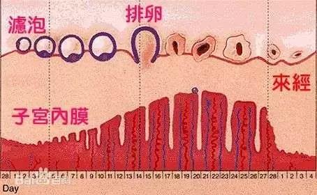 生完孩子月经一直没来正常么,生孩子后没有来过月经可能怀孕吗