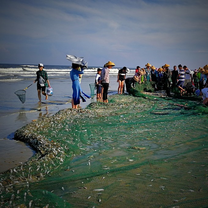 湛江海鲜十佳排名,湛江海鲜第一名