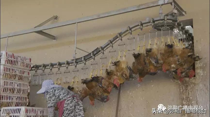 赞！弥勒这几家公司：减免摊位费，免费送餐、送菜，送消毒水...