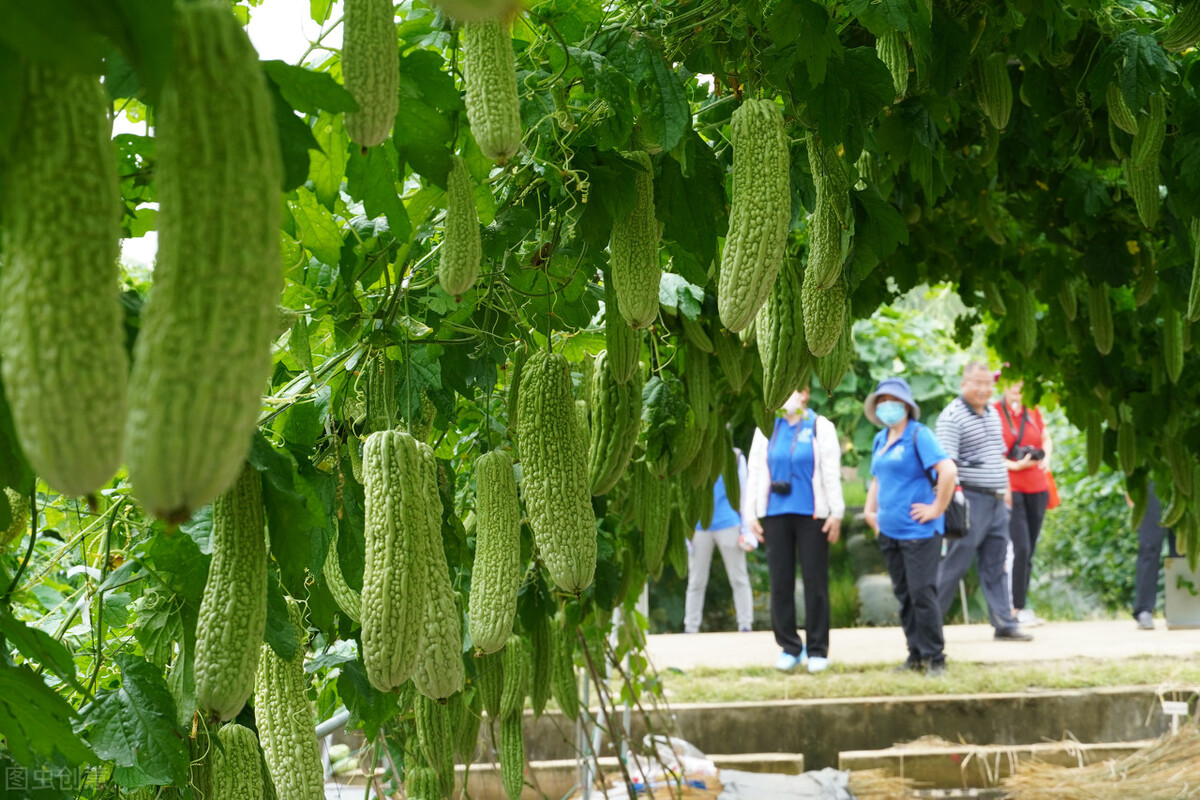 广西农业招商引资项目补贴,广西农业重大项目招商签约