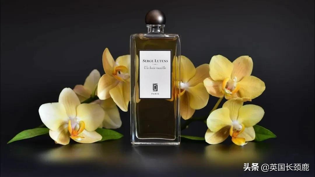 秋冬季节推荐的香水,秋冬香水橘彩星光