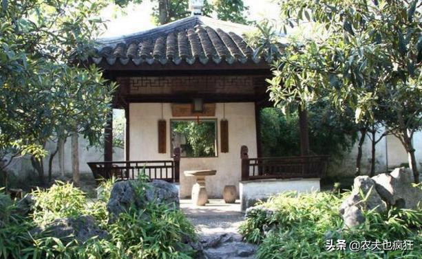 俗语“东不栽榆西不栽桃,前不栽桑后不栽柳”,门口种啥树好?