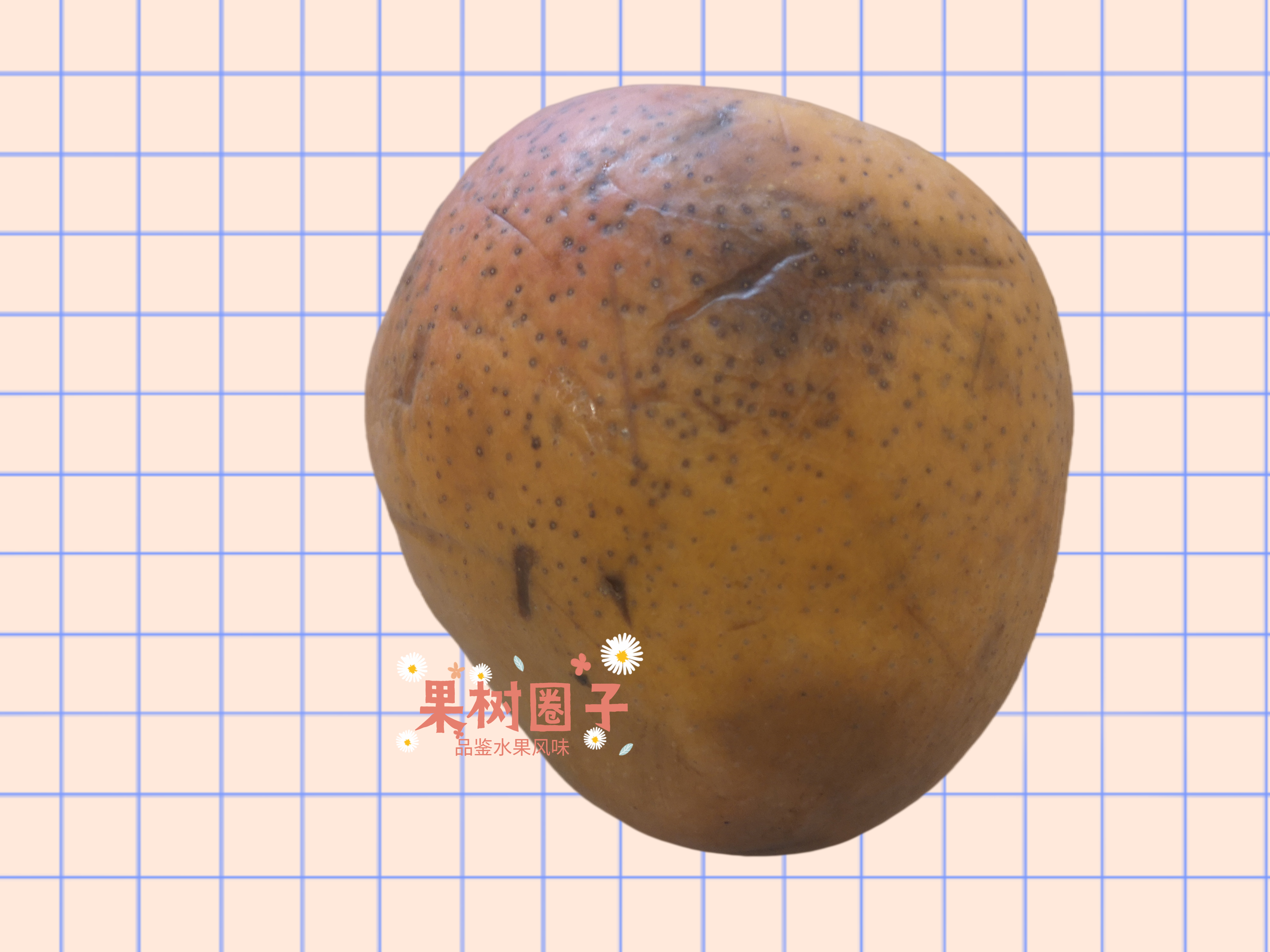 6大产地10种芒果大pk哪种最好吃,什么芒果4月份上市好吃