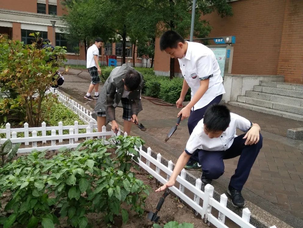 国家课程校本化课程体系,学校国家课程校本化