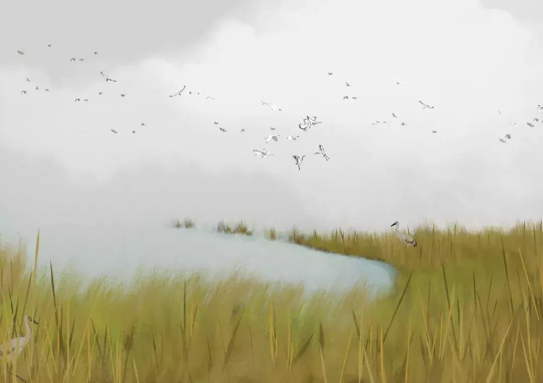 史铁生的秋天的怀念读书笔记,史铁生秋天的怀念书摘