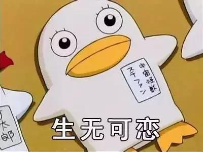 万科白天鹅鱼窝温泉,清远万科白天鹅温泉