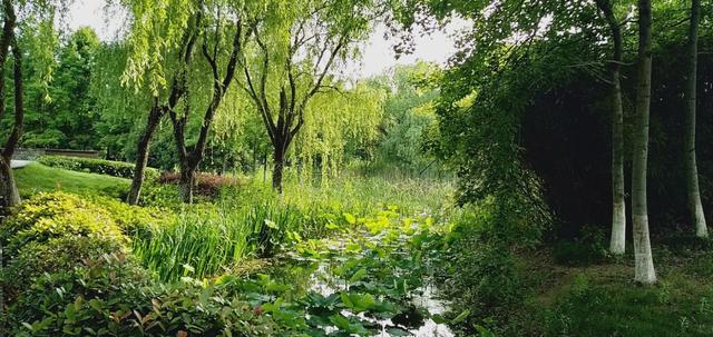 苏州婚纱城和婚纱一条街地址,苏州婚纱摄影取景圣地