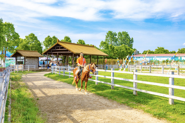 江浙沪自驾游亲子乐园推荐,江浙国内小众海岛亲子游