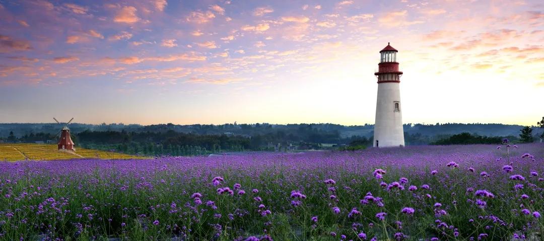 看，这10个项目告诉你公园城市的乡村表达