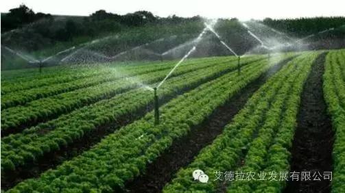 农业水溶肥发展趋势,水溶肥料行业现状和前景