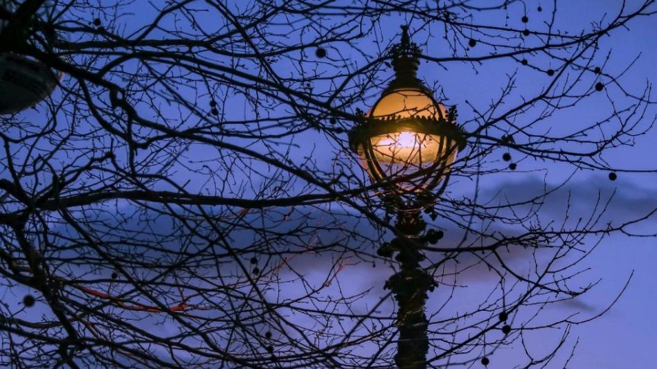 有你真好关于友情的诗句,有一种友情叫有你真好情感语录