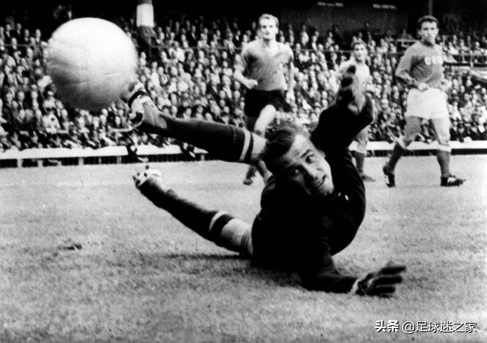 这些动物组一支足球队能统治当今足坛,你服不服