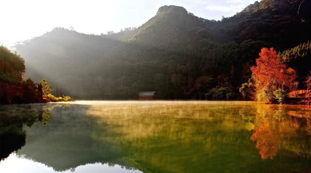 广东省内森林旅游景点,广东森林公园排行榜