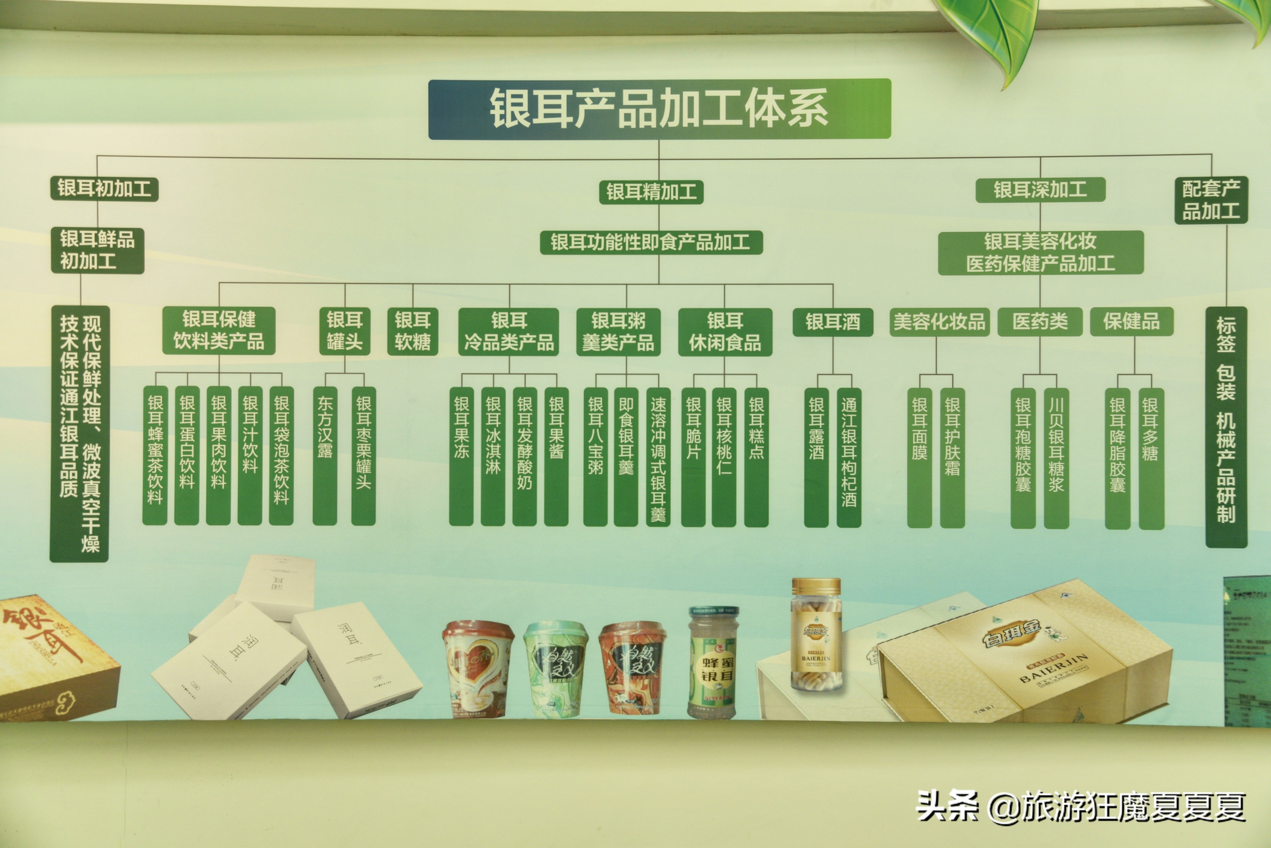 中国银耳多少钱,中国银耳之乡视频