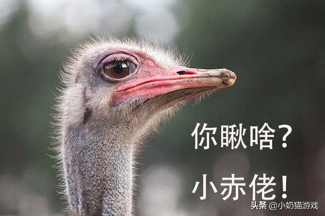 梦幻西游五开和大话五开哪个好,梦幻西游五开为什么选五门