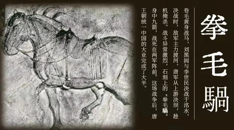 脑洞大开方言购物,脑洞大开的车有哪几种