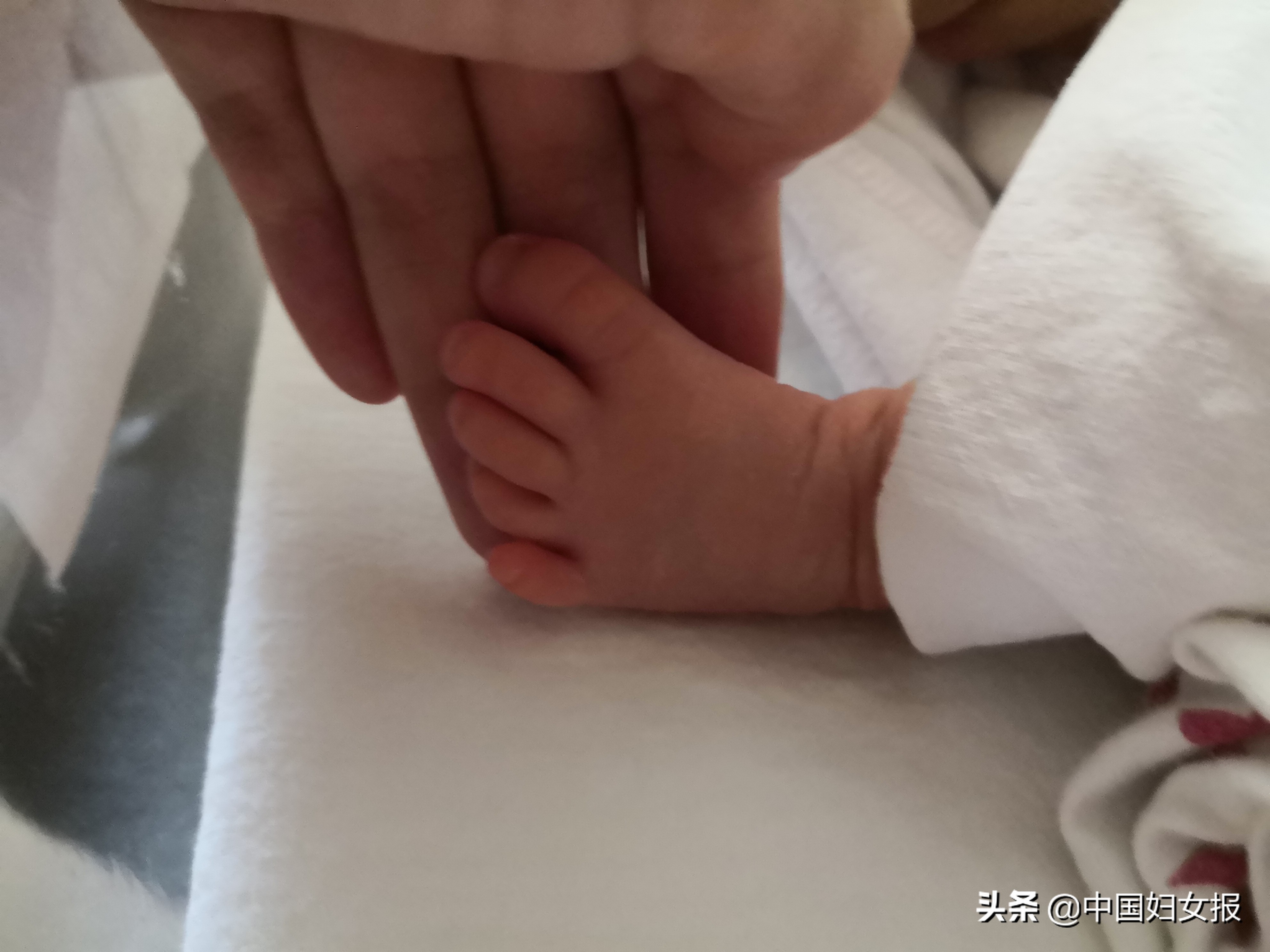 单身女性选精生子：我到美国买常青藤精子，生混血宝宝