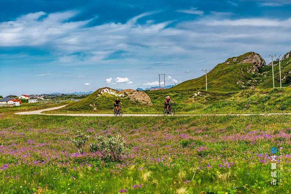 维京遇到全域旅游，美丽乡村、特色小镇一网打尽：挪威渔业史漫步