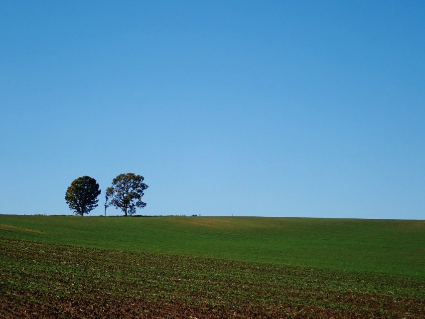 北海道登别到美瑛町需多久,日本北海道美瑛川的雪景