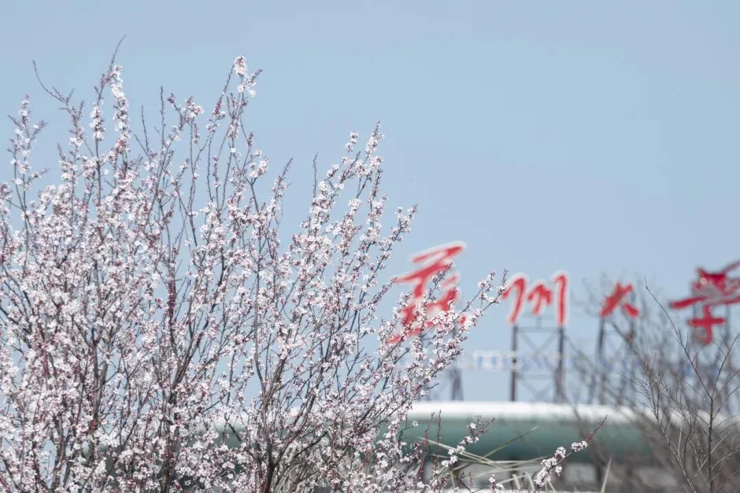 江苏省高校(六十六)苏州大学应用技术学院