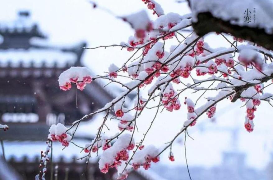 唐诗三百首诗词鉴赏全集,被唐诗三百首遗忘的绝妙好诗