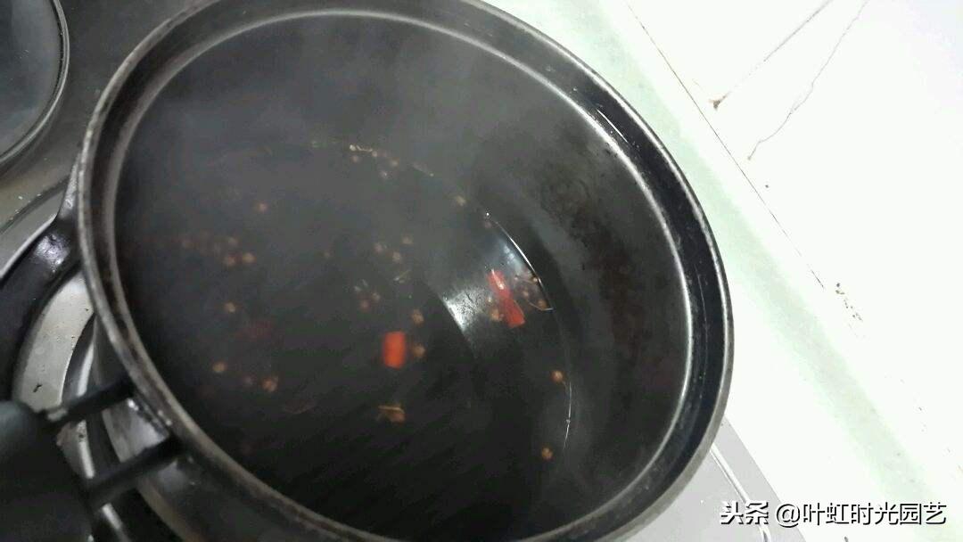 家庭花卉盆栽土里怎么除虫,盆栽花卉除虫除菌剂