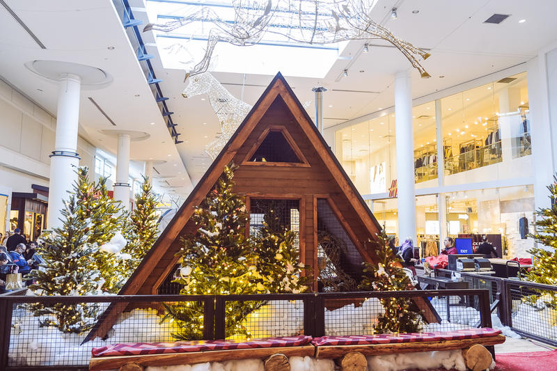 加拿大魁北克冰雪节,加拿大艾伯塔省节