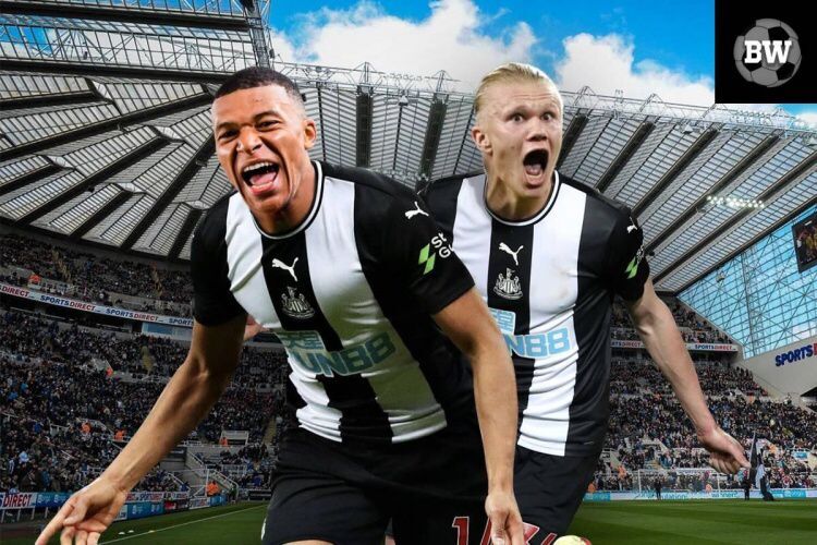 鑻辫秴鏂版檵鍦熻豹绾藉崱鏂皵,鑻辫秴璞棬绾藉崱鏂皵