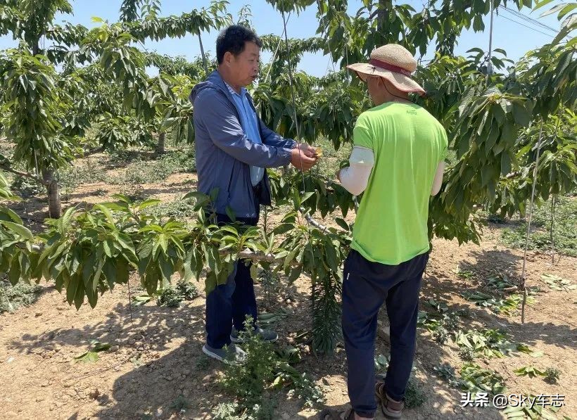 7万公里老款宝马x5,宝马x5的优缺点